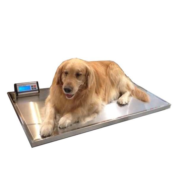 Animal Veterinary Weighting Scale