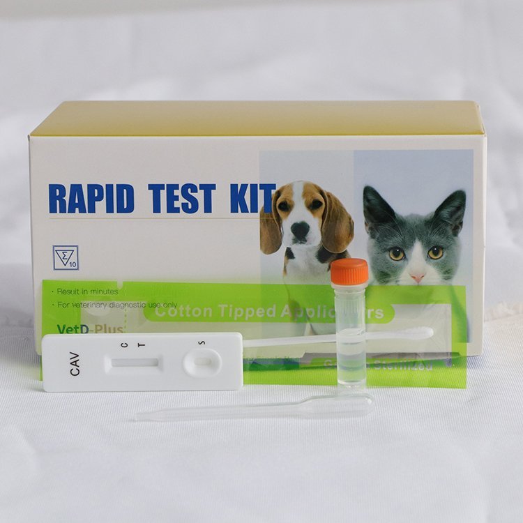 Canine Adenovirus Ag