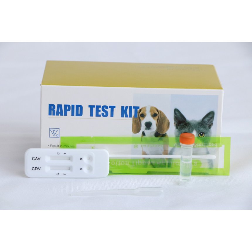 Canine Distemper Virus & Adenovirus Ag Combo