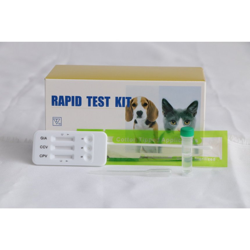 Canine Parvo Virus Ag, Corona Virus Ag & Giardia Ag Combo CPV-CCV-GIA Ag