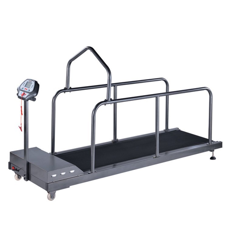 BIG ANIMAL TREADMILL VTR-379