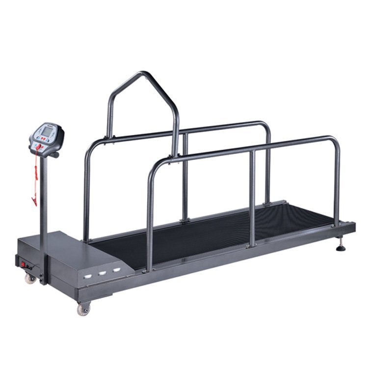 BIG ANIMAL TREADMILL VTR-381