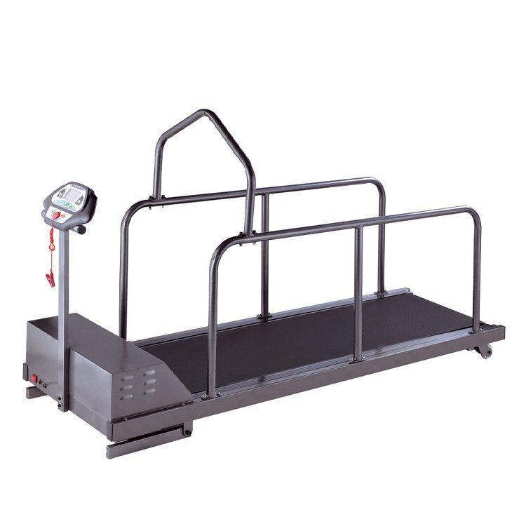 BIG ANIMAL TREADMILL VTR-383