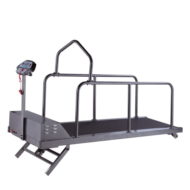 BIG ANIMAL TREADMILL VTR-384