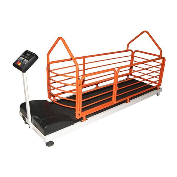 BIG ANIMAL TREADMILL VTR-397