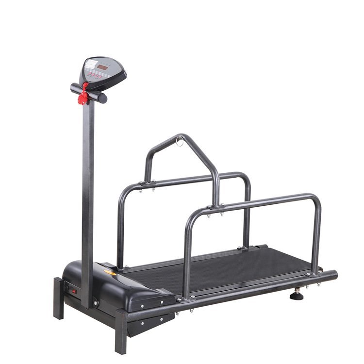 TREADMILL FOR SMALL ANIMALS VTR-366