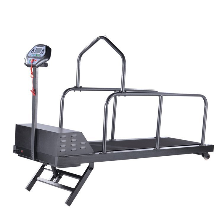 PET TREADMILL VTR-371